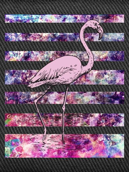 Rosa Flamingo