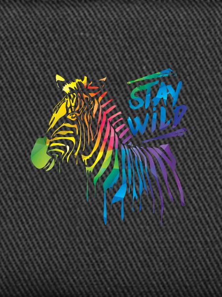 Zebra Boom!