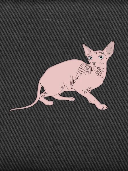 Cat Sphynx