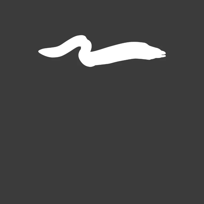 eel