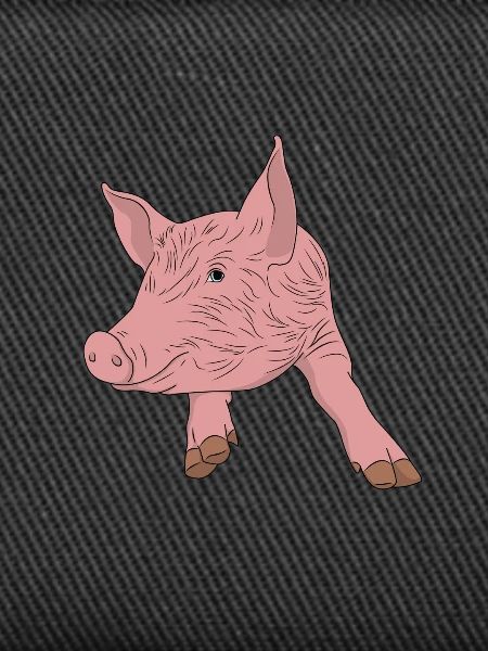 pig