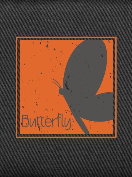 Butterfly butterfly