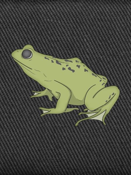 frog