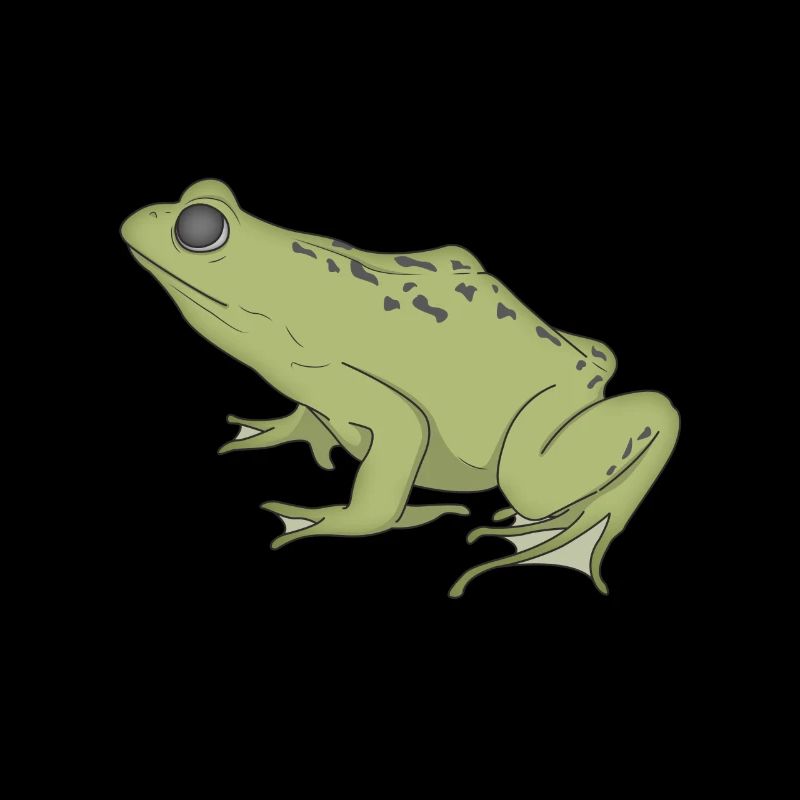 grenouille