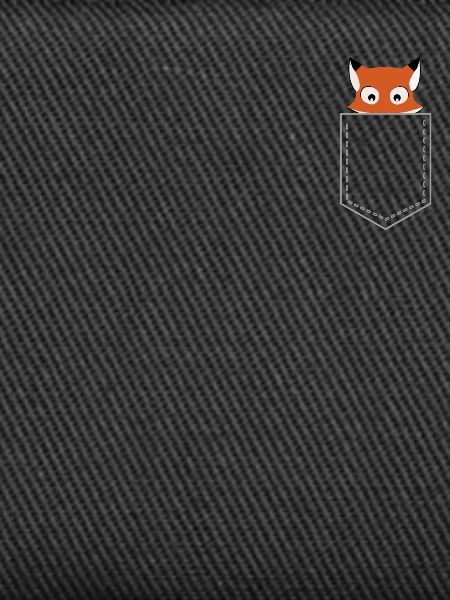 Fox Pocket