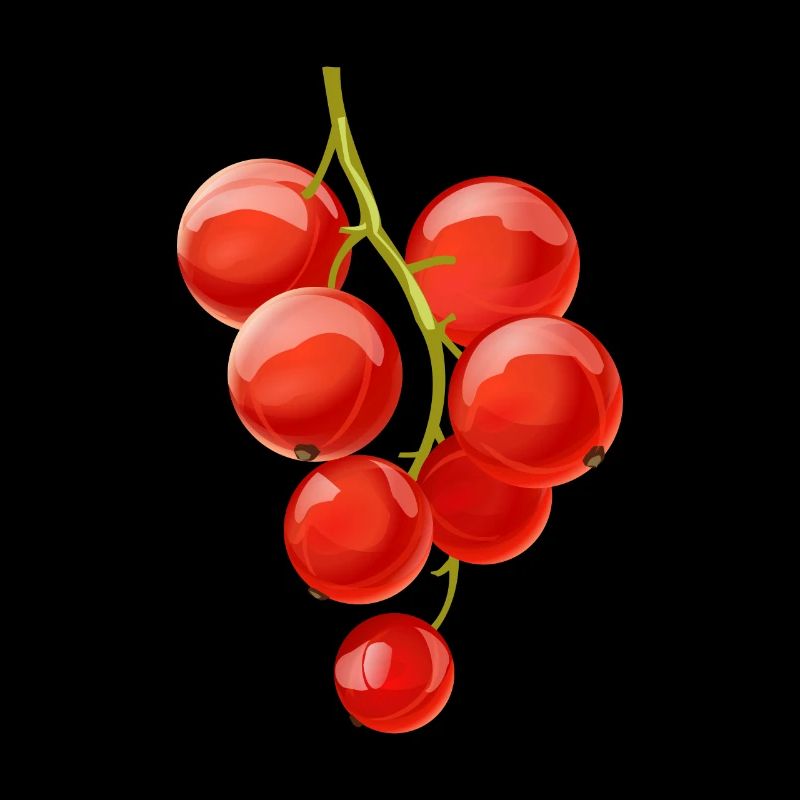 Ribisel Beeren Obst Frucht