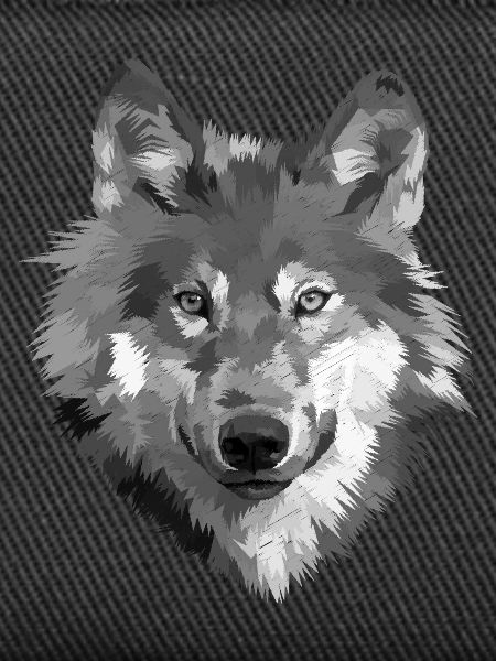 Grayscale Wolf Portrait