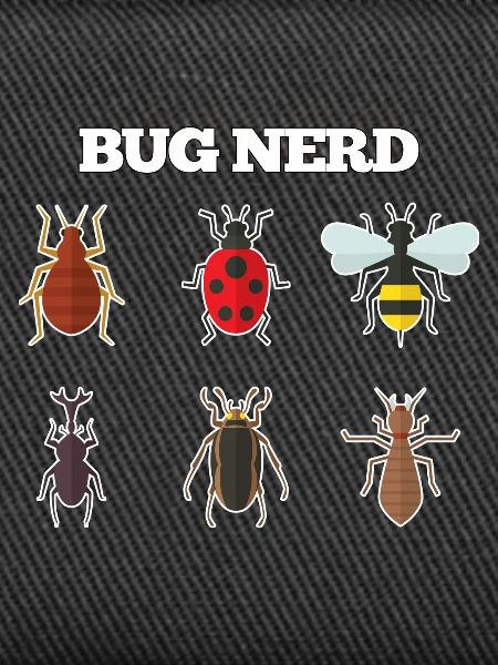 Bug Nerd