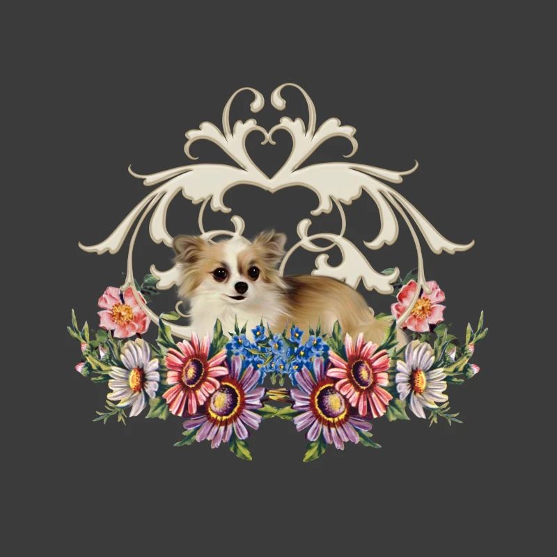 Linda chihuahua
