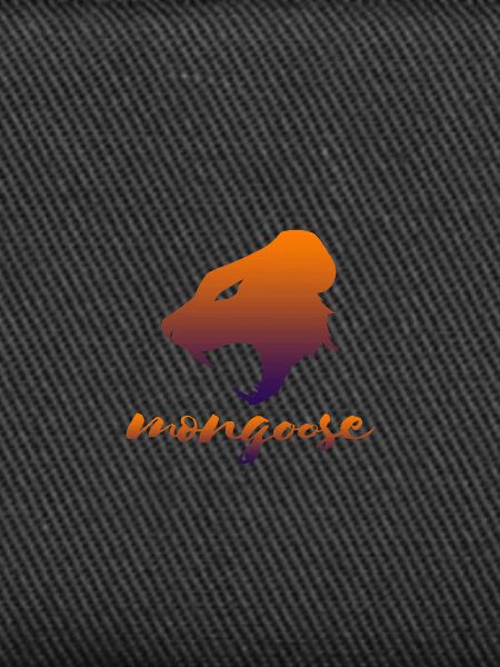 Mongoose nimble animal