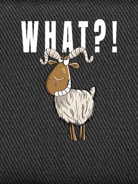 What?! Funny goat