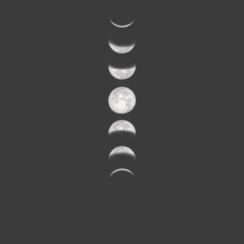 Moon Moon Moon Phases Full Moon Lunar Eclipse Total