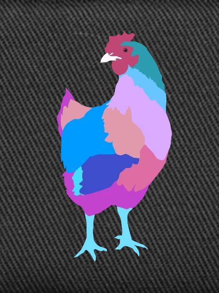 Chicken hen