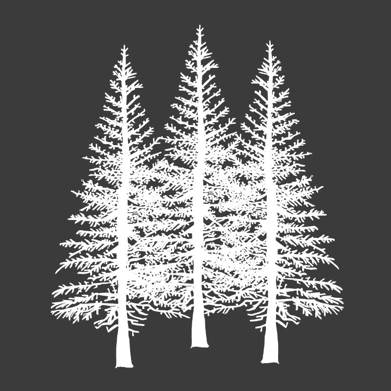 Forest tree trees nature conservation ecology environment