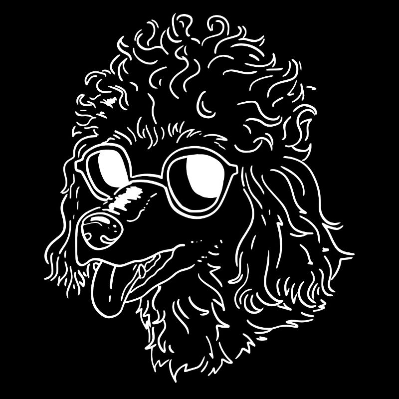 Caniche drôle avec des lunettes de soleil