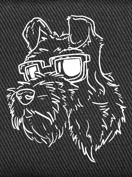 Schnauzer