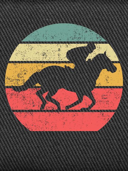 Courses de chevaux
