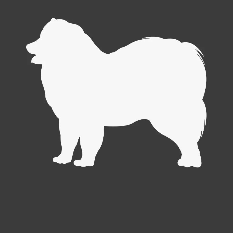 Samoyed