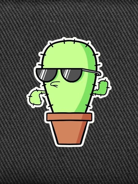Cactus cool