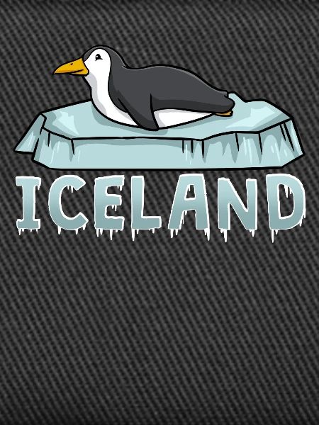 Iceland Puffin