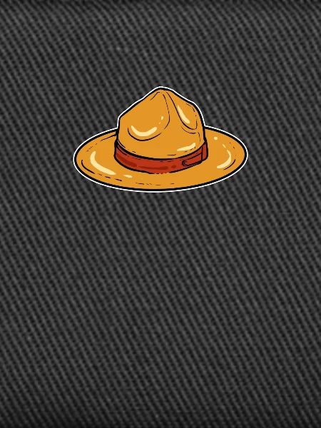 Boy scout hat