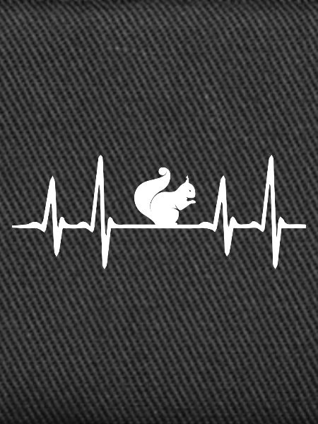 Squirrel heartbeat