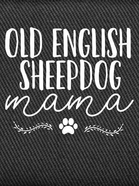 Bobtail Old English Sheepdog