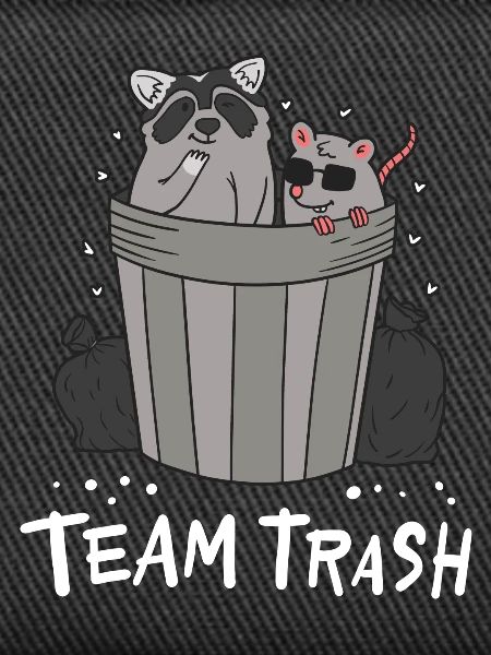 Raccoon and rat