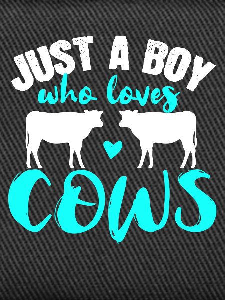Cow Cows