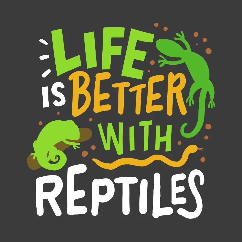 Reptile lizard