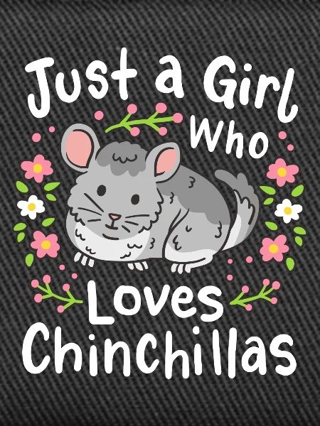 Chinchilla chinchilla lovers