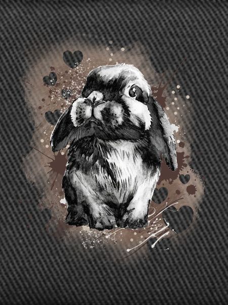 Lapin lapin
