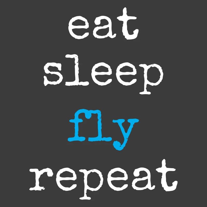 Pilote aux commandes