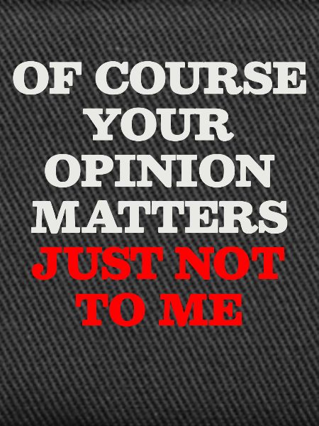 opinion