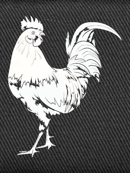 Rooster Chicken Rooster