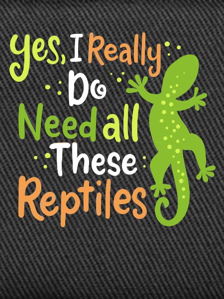 Reptile Lizard Herpetologist