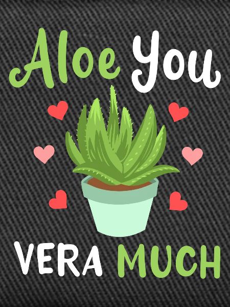 Aloe Vera Succulents