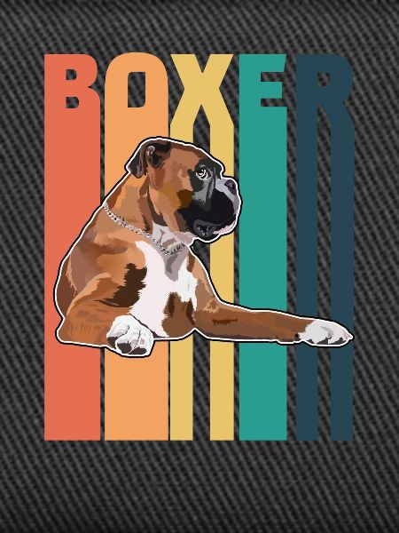 Boxer Dog Retro