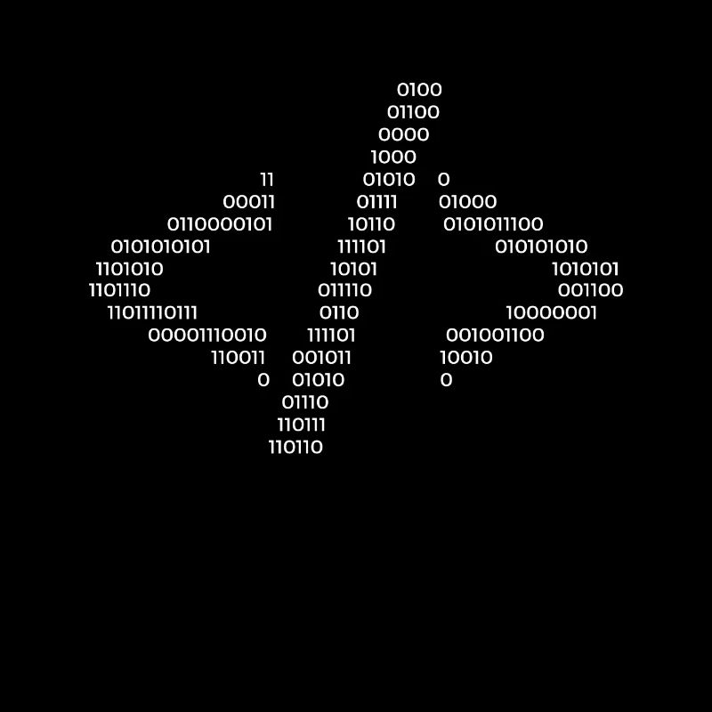 Hacker Hacking Code Computer Java Spruch Geschenk