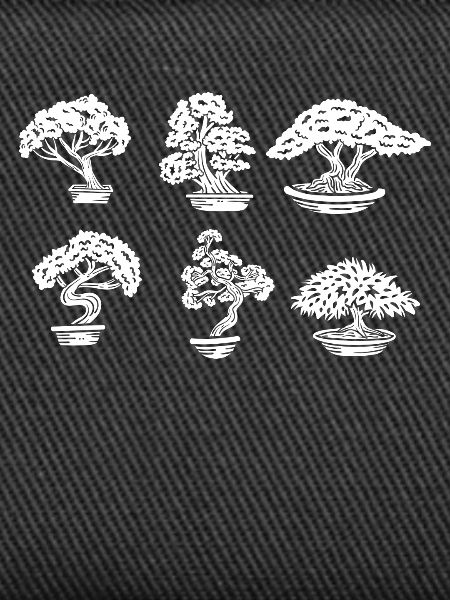 Bonsai Kunst