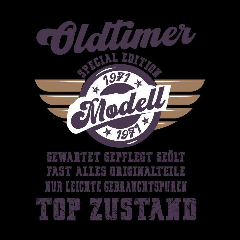 Oldtimer Modell Retro Flügel Geschenk