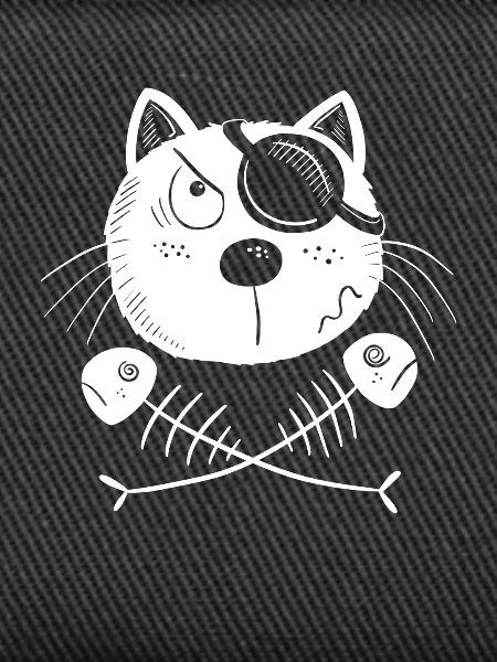 Funny Pirate Cat