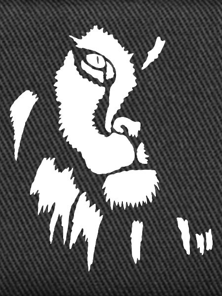 White lion in shadow