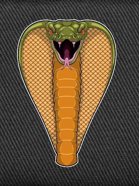 Cobra Snake