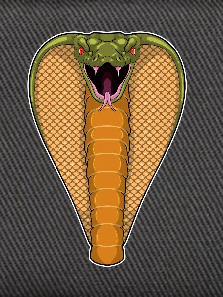 Cobra Snake