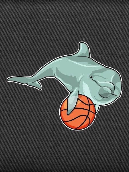 Dolphin Basketteur Basketteur