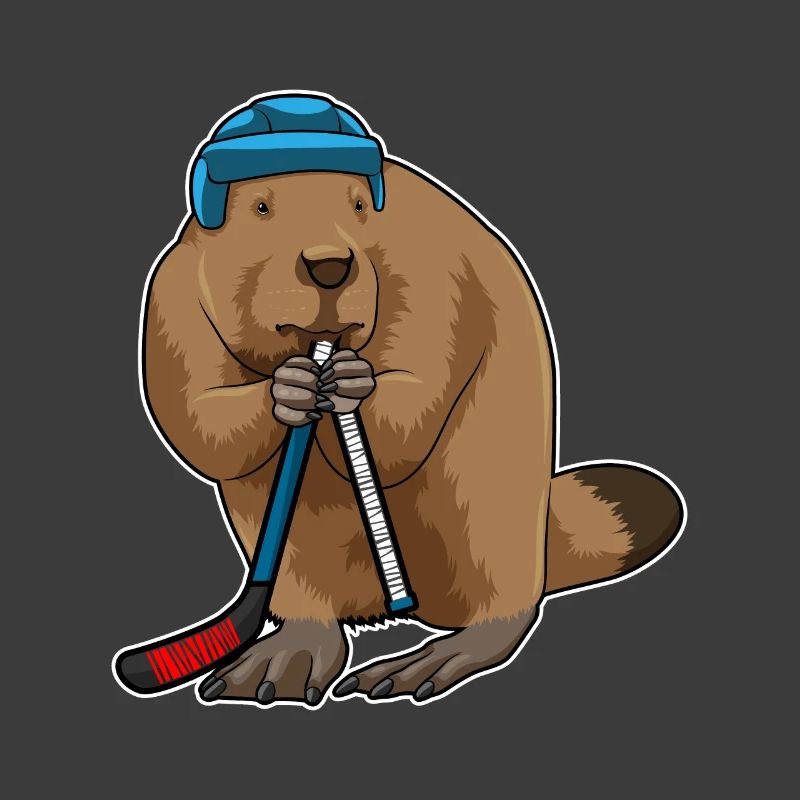 Biber Eishockey Eishockeyschläger
