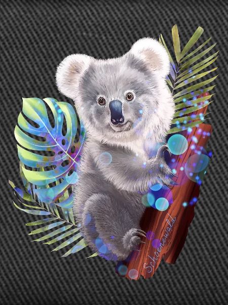 Koala