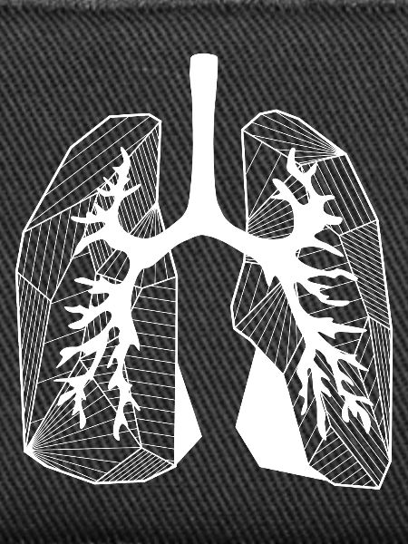 Lungs