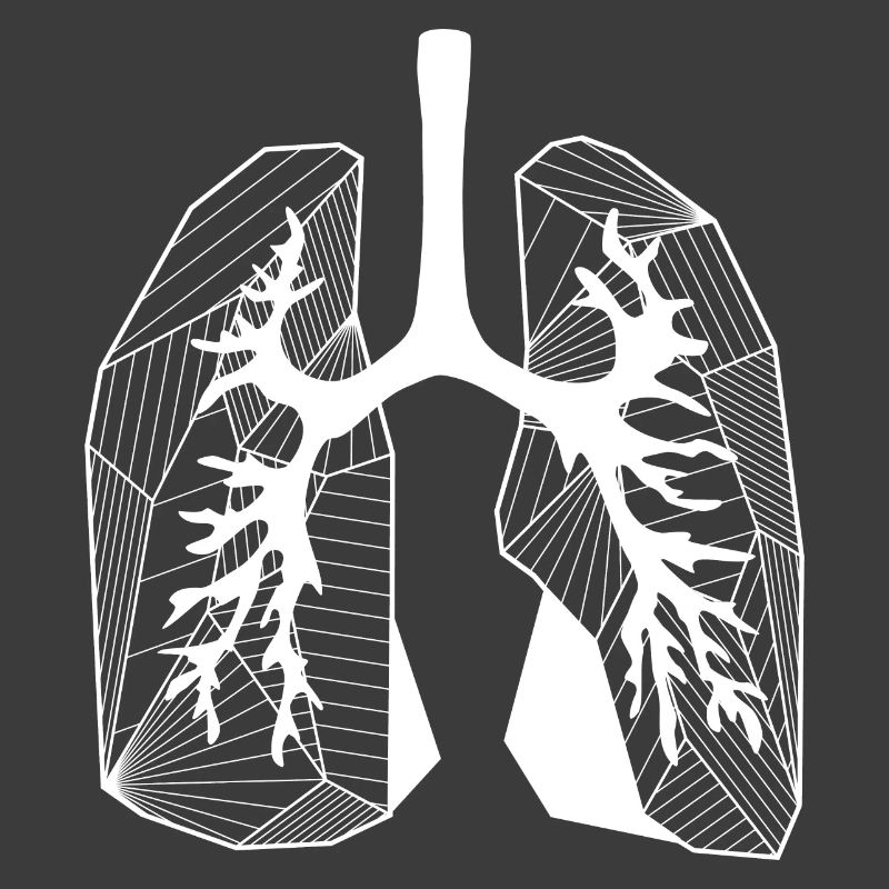 Lungs